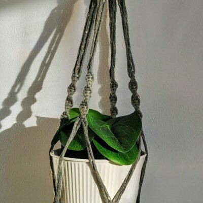 Suspensions Plantes