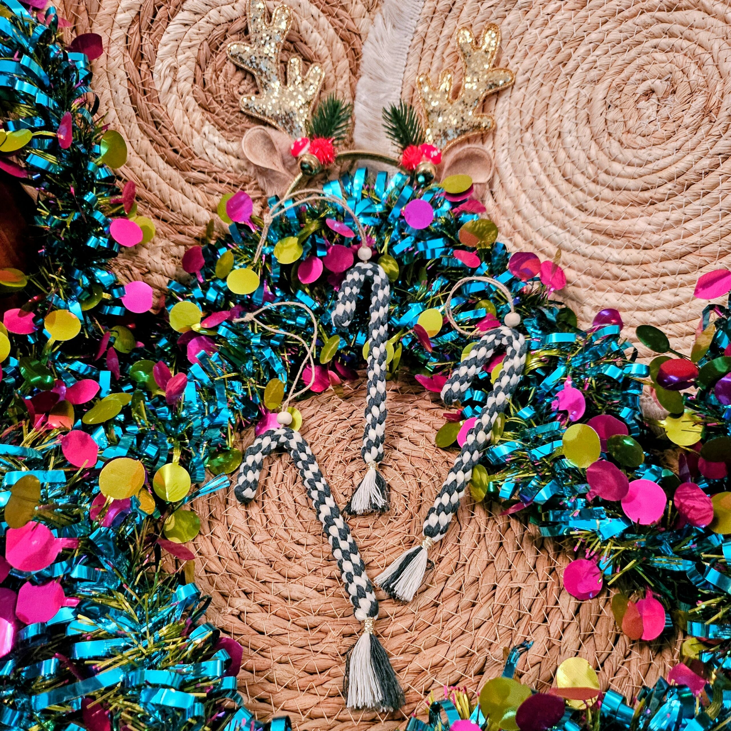 Cannes à Sucre – Image 3